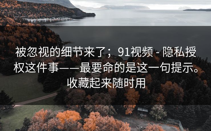 被忽视的细节来了；91视频 - 隐私授权这件事——最要命的是这一句提示。收藏起来随时用