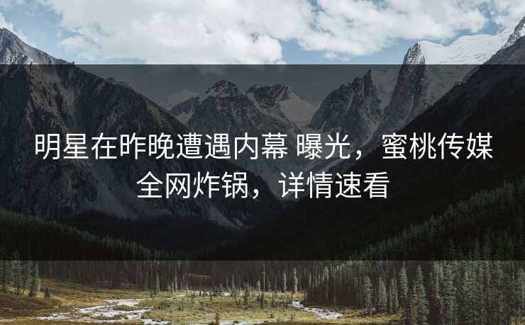 明星在昨晚遭遇内幕 曝光，蜜桃传媒全网炸锅，详情速看