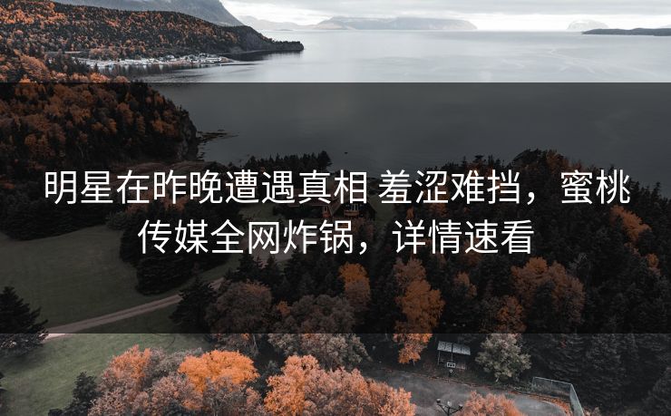 明星在昨晚遭遇真相 羞涩难挡，蜜桃传媒全网炸锅，详情速看