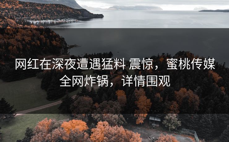 网红在深夜遭遇猛料 震惊，蜜桃传媒全网炸锅，详情围观