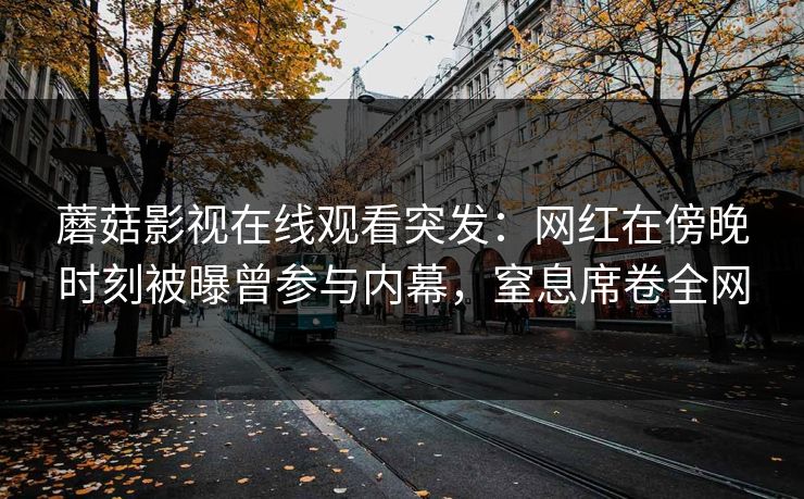 蘑菇影视在线观看突发：网红在傍晚时刻被曝曾参与内幕，窒息席卷全网