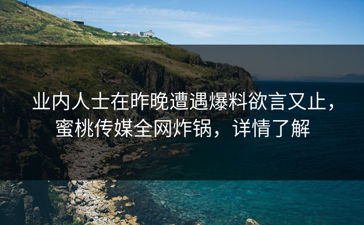业内人士在昨晚遭遇爆料欲言又止，蜜桃传媒全网炸锅，详情了解