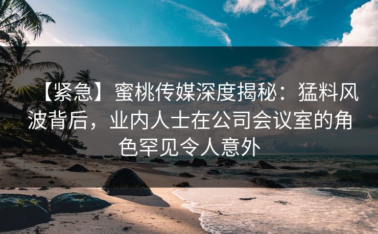 【紧急】蜜桃传媒深度揭秘：猛料风波背后，业内人士在公司会议室的角色罕见令人意外