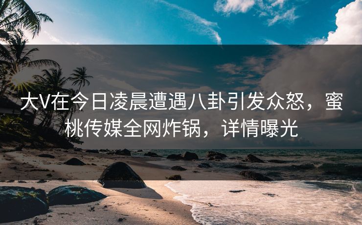 大V在今日凌晨遭遇八卦引发众怒，蜜桃传媒全网炸锅，详情曝光